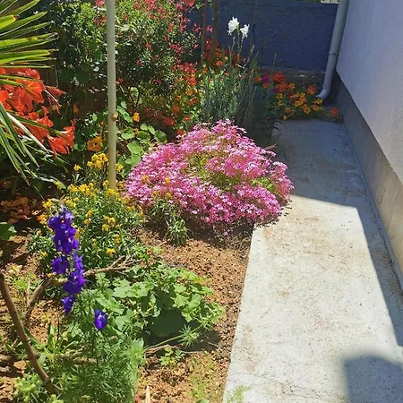 Vana * Tribunj (Sibenik-Knin)